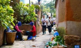 村庄在线观看,村庄在线观看之旅